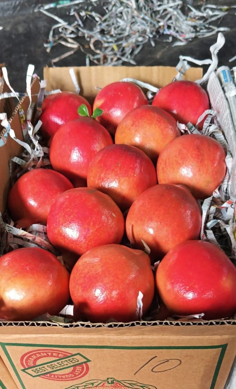 Pomegranate thumbnail 3
