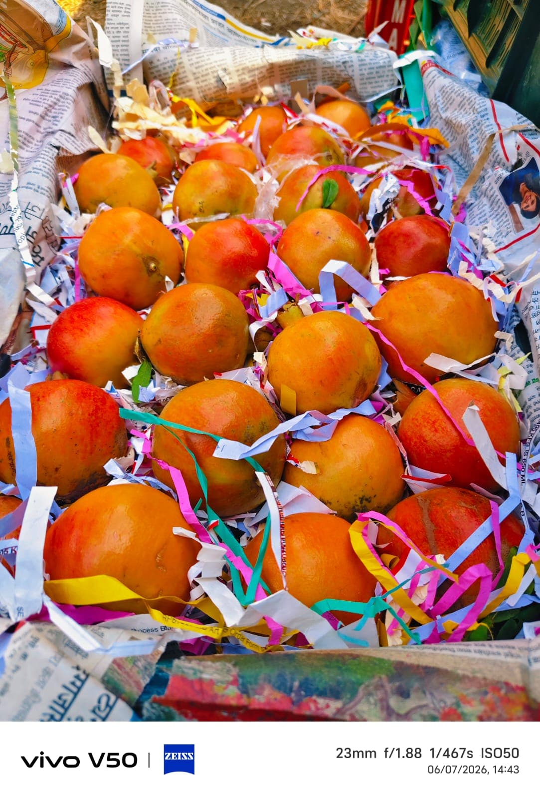 Pomegranate thumbnail 4