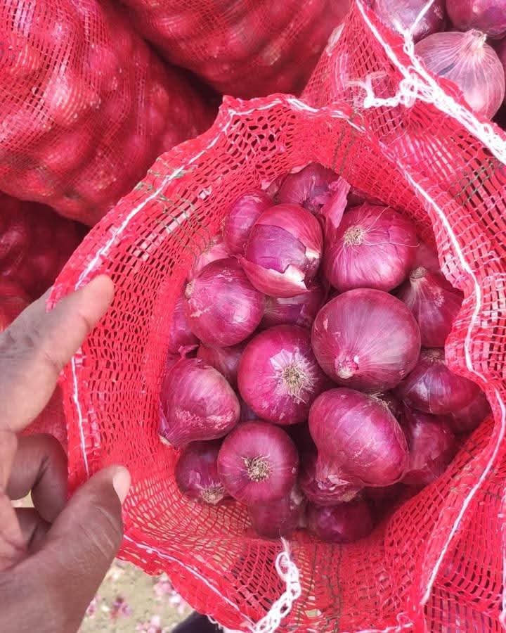 Red Onion thumbnail 3