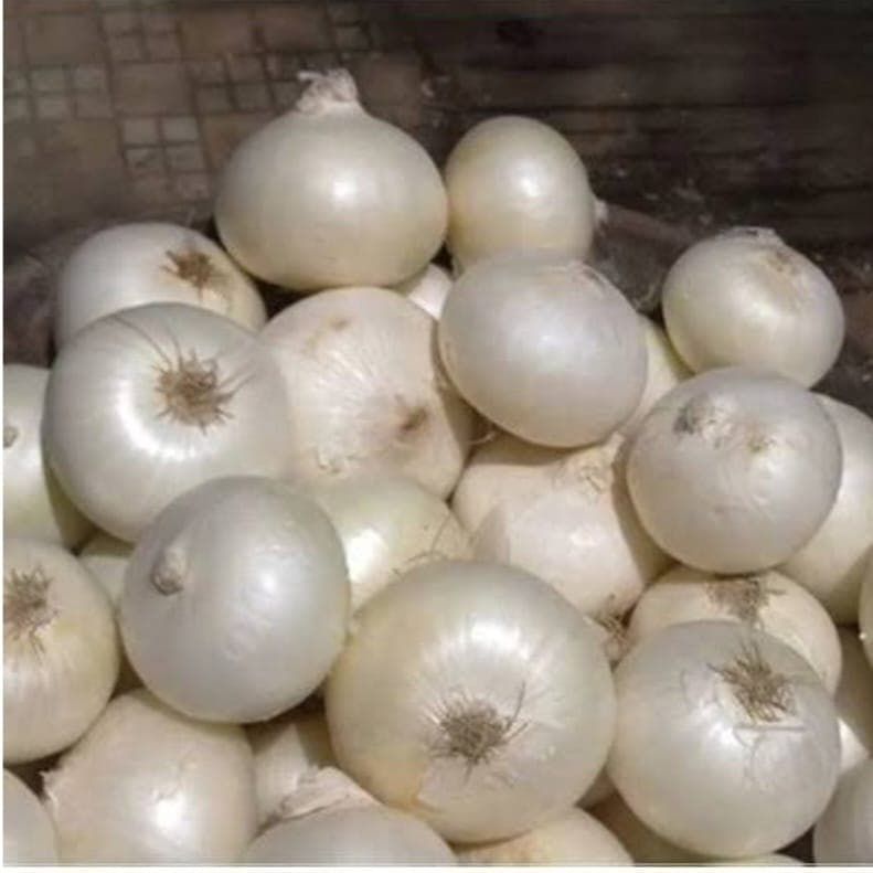 White Onion thumbnail 2